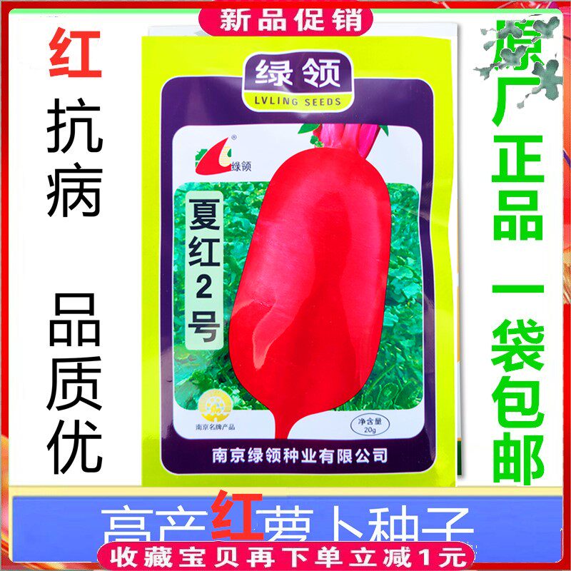 夏红2号红萝卜种子生吃脆甜蔬菜种秋季播种萝卜种籽良种红萝卜20g