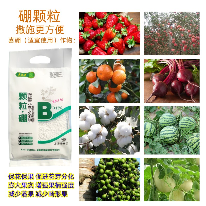 颗粒型硼肥料树花芽分化保花保果