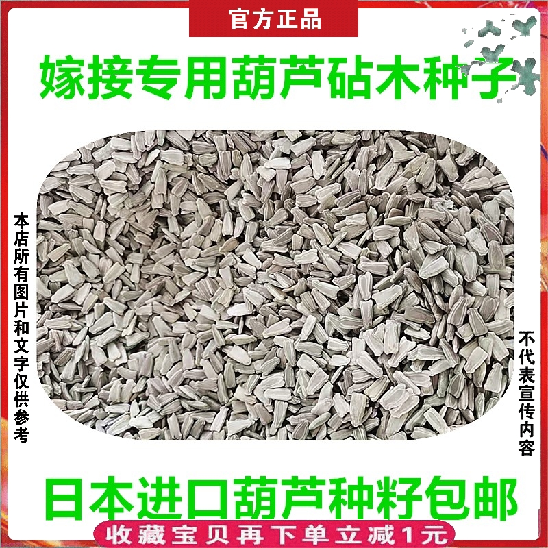 西瓜砧木甜瓜嫁接专用葫芦卢种子