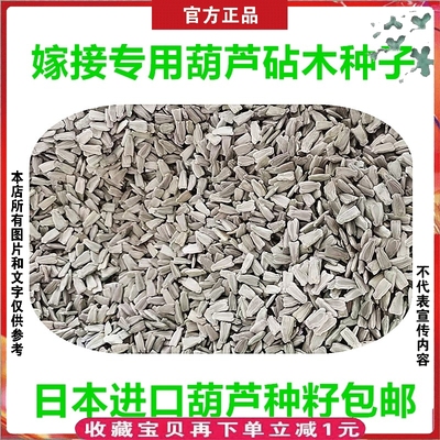 西瓜砧木甜瓜嫁接专用葫芦卢种子