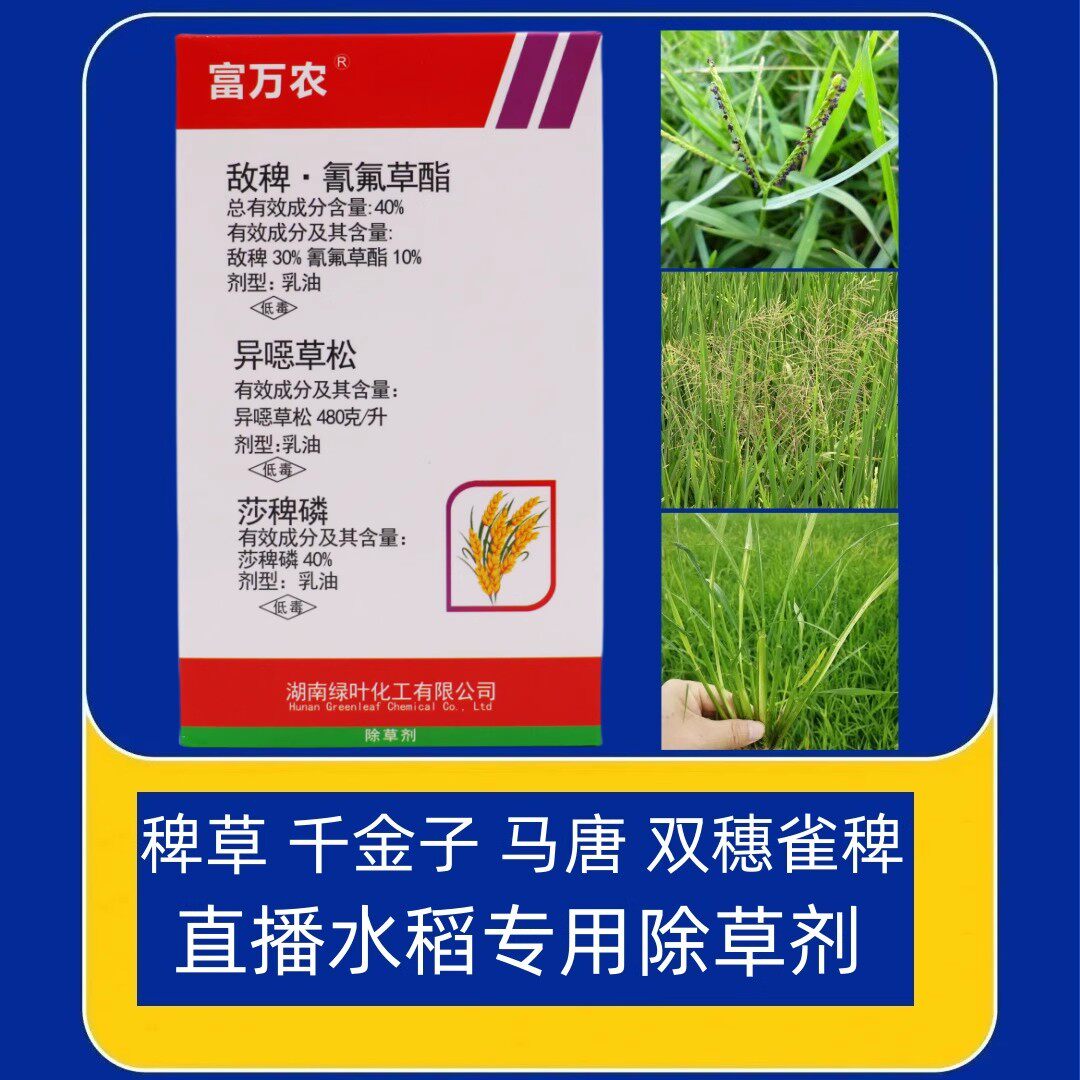 水稻除草剂杀稗草千金子禾本科草