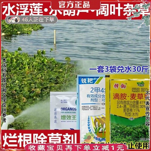 水葫芦水浮莲空心莲阔叶草除草剂