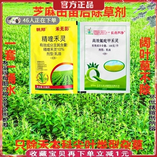 芝麻苗后除草剂黑芝麻大白菜除尖叶禾本科芦苇马唐狗尾草牛筋稗草