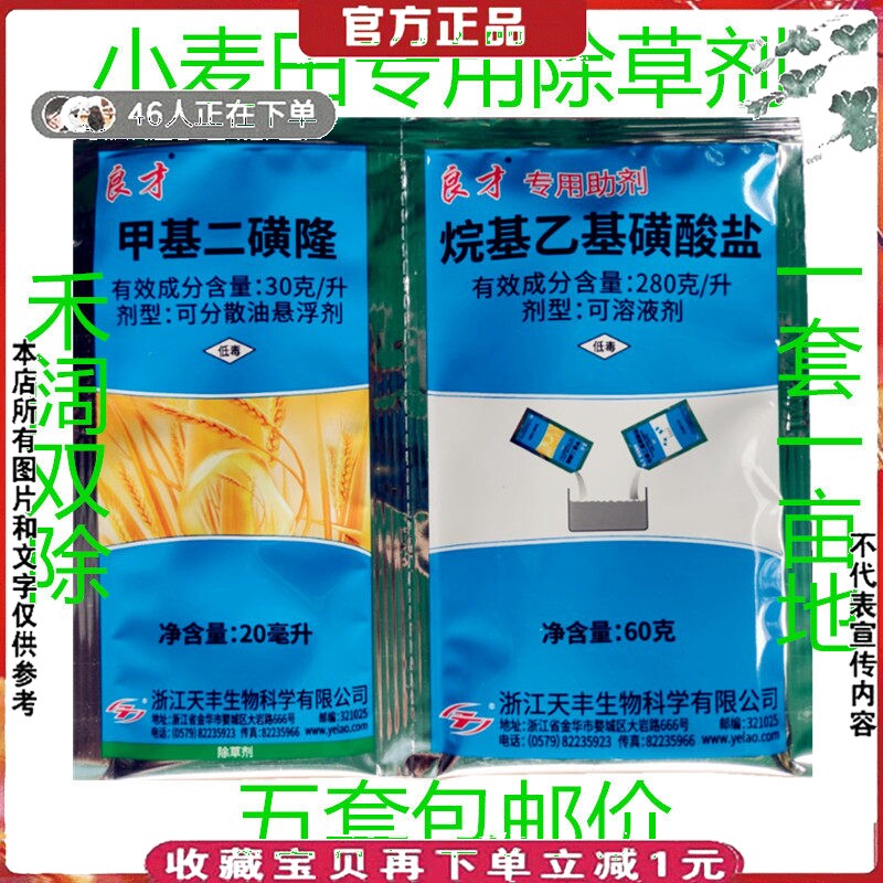 小麦田专用除草剂甲基二磺隆节节麦雀麦野燕麦春冬小麦苗后除草剂