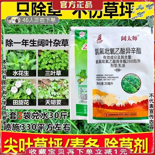 麦冬专用除草剂草坪马尼拉黑麦草