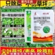 农药麦冬专用除草剂尖叶草坪马尼拉黑麦草路政绿化草皮除阔叶杂草