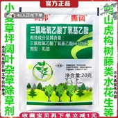 小麦草坪三氯乙酸灌木恶性阔叶杂草烂根除藤蔓爬山虎水花生除草剂