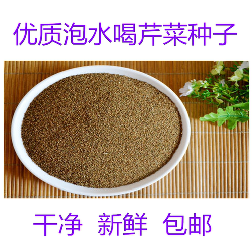 泡水喝芹菜种子蔬菜种籽新鲜干净