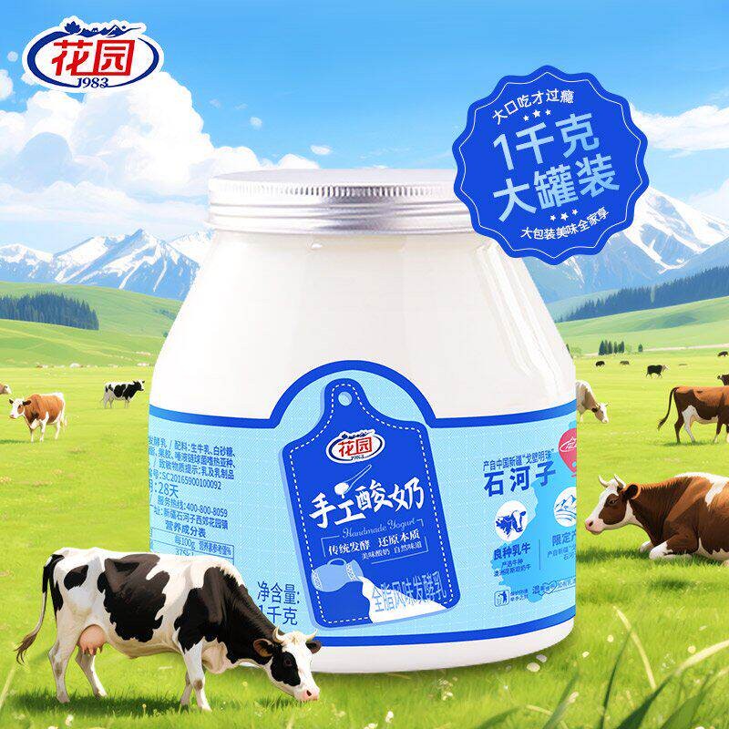 新疆花园手工酸奶桶装1KG*2桶新疆直发