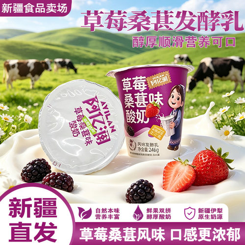 阿亿澜酸奶草莓桑葚味酸奶246g*12杯新疆伊犁特产酸奶顺丰空运
