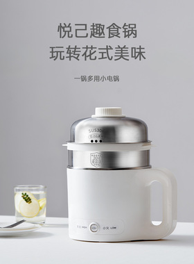 EIT电煮锅家用宿舍学生锅一人食小型火锅一体锅多功能泡面小电锅