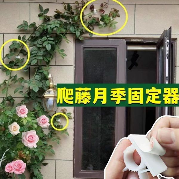 神器卡扣牵引室内蔷薇花户外藤本固定器墙上墙面爬藤月季植物园艺