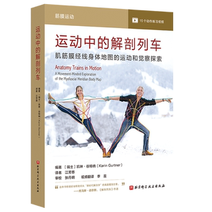 运动和觉察探索 肌筋膜经线身体地图 运动中 解剖列车