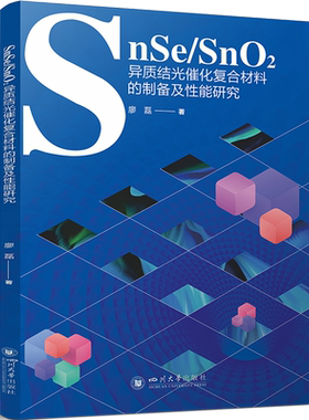 SnSe/SnO2异质结光催化复合材料的制备及性能研究