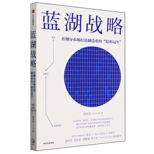 蓝湖战略