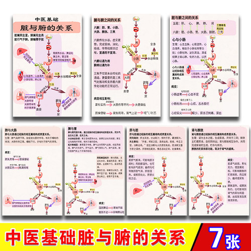 中医基础脏与腑的关系 五脏关系学习6寸卡 中医传统学习塑封卡片