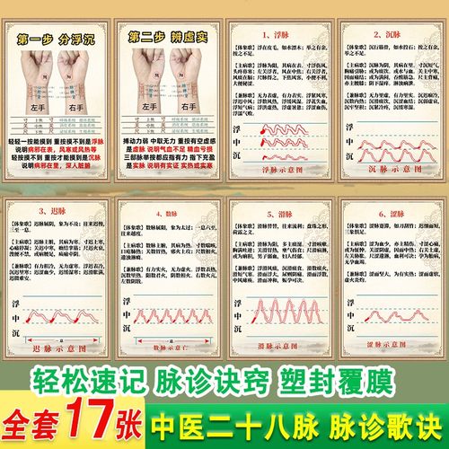 中医二十八脉脉诊歌诀塑封学习卡把脉诀窍全套17张双面印刷
