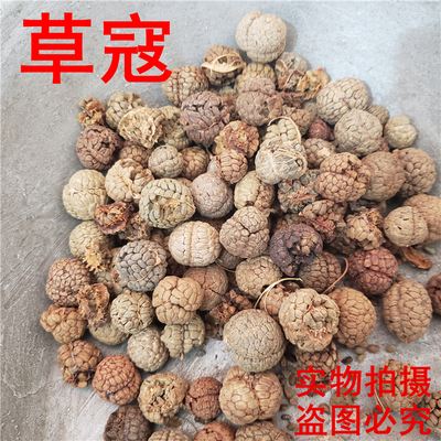 一级草豆蔻中药材包邮