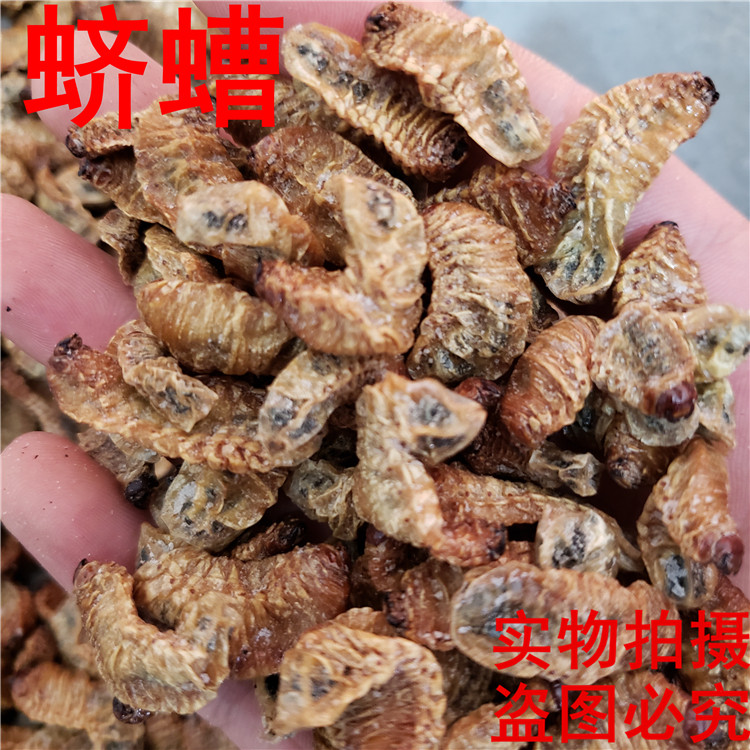 蛴螬500克包邮 中药材蛴螬 土蚕 老母虫 核桃虫 粪虫 乳齐