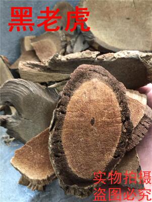 黑老虎钻地风中药材