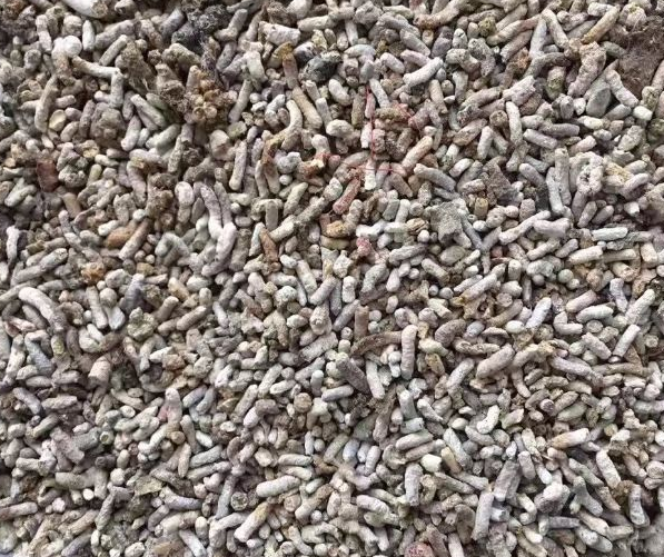 白丁香500克 中药材白丁香 天然正品麻雀屎 散装