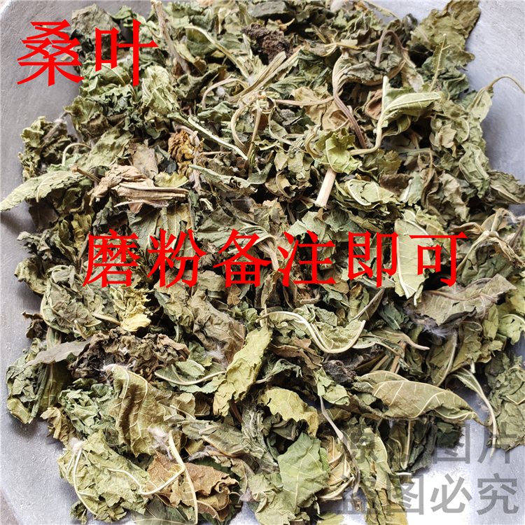 桑叶九林中药材霜后清热养生