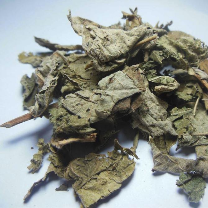 木芙蓉叶500克中药材 木芙蓉叶 三变花 木棉花地芙蓉