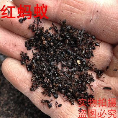 长白山泡酒中药材