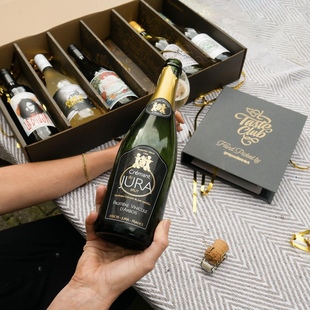 法国Jura弗绿特酒庄汝拉起泡葡萄酒 奶油青苹果 Crémant媲美香槟