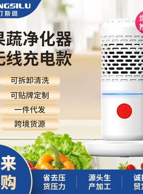 克叮斯璐果蔬清洗机水果蔬洗菜机