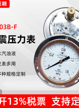 上海自动化仪表Y-103B-F耐震压力表0-25mpa不锈钢水压油液压力表