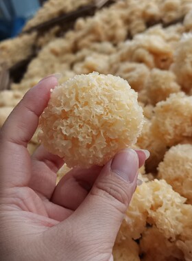 小银耳干货500g白木耳糯耳椴木小银耳新货菌菇食用农产品推荐