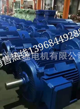 电机厂家  供应 YDT200L2-8/6  11/22KW  变极多速电动机 电机