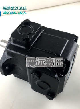 DENISON丹尼逊叶片泵T6D 028 (1R00 1R01 1R02 1R03) A1/B1/C1