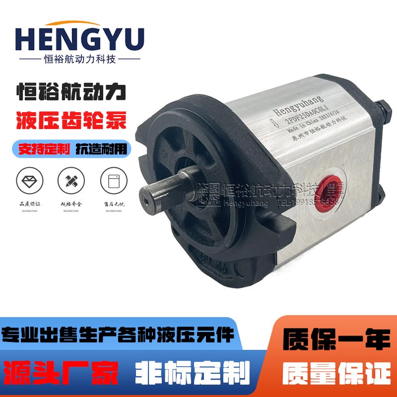 萨澳泵丹佛斯液压泵SAUER SNP1NN SNP2NN SNP3N油泵