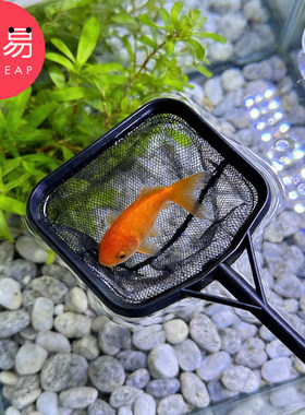 渔捞/小C1pq808-鱼缸捞鱼网兜金鱼观赏鱼渔网捞鱼缸家用捞鱼网
