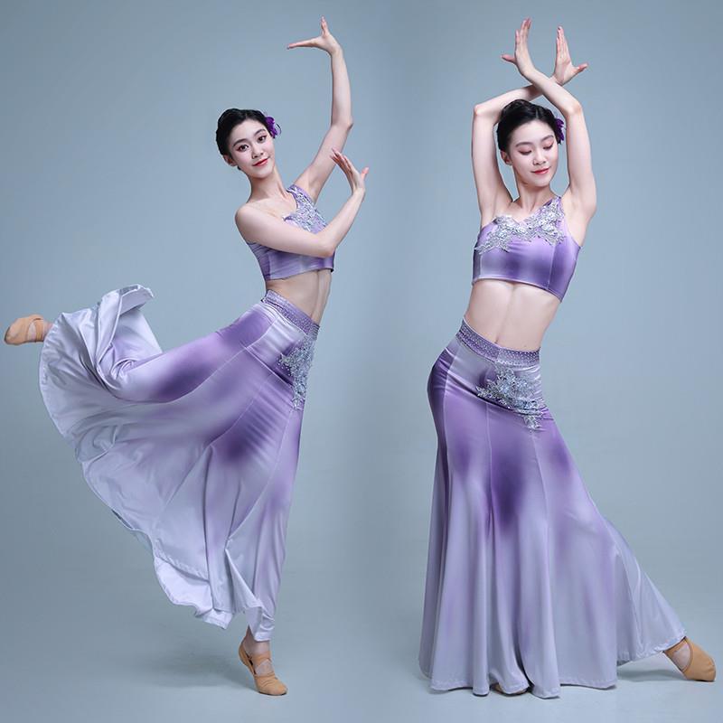 傣族舞蹈演出服女艺考鱼尾舞裙练功服西双版纳民族孔雀舞表演服装