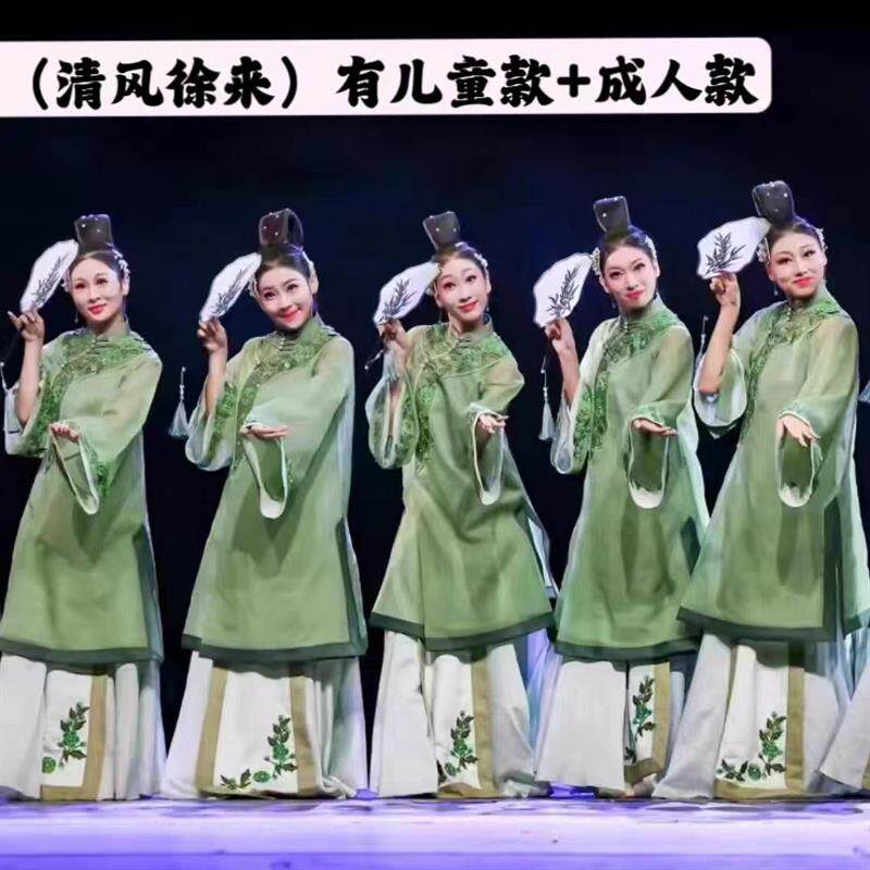 桃李杯清风徐来舞蹈服刺绣款舞蹈服成人款中国风古典舞舞蹈演出服
