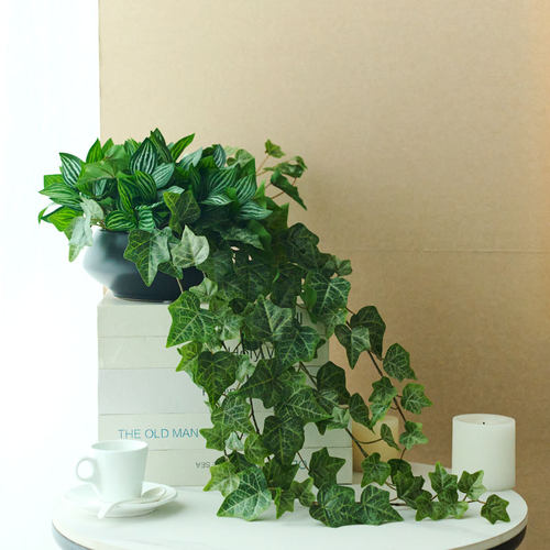 仿真绿植高品质仿真绿植萝假花