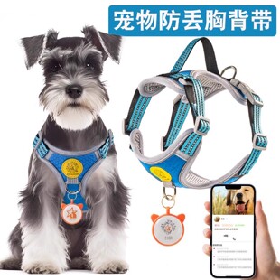 狗狗牵引绳防丢胸背带背心式宠物遛狗绳大中小型比熊泰迪柯基脖圈
