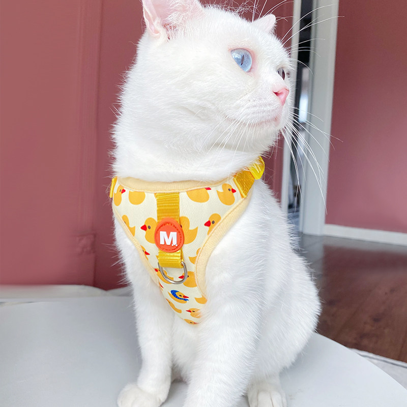 猫咪牵引绳背心式猫绳可调节小猫幼猫外出猫带专用遛猫绳幼猫链子