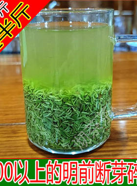 信阳毛尖绿茶茶叶碎茶碎芽2026新茶断芽茶末散装浓香型重口味茶叶