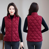 女士轻薄棉衣马甲2025新款 羽绒棉服马甲立领坎肩秋冬短款 保暖背心