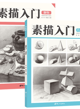 素描入门全两册石膏几何体+素描静物单体组合结构照片临摹范本教案基础入门画册本教程基础美术书籍教学教材书 一线美誉