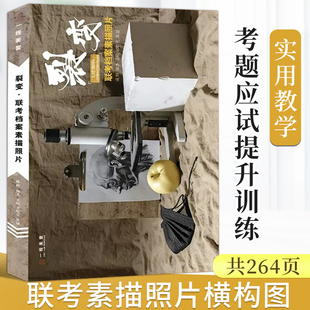 裂变联考档案素描照片横构图 素描照片临摹卡素描基础几何体静物单体组合石膏头像照片写生对画素材美术校考高考联考教材教程书籍