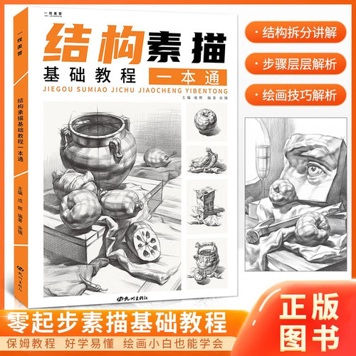 一线美誉起步素描基础教程结构