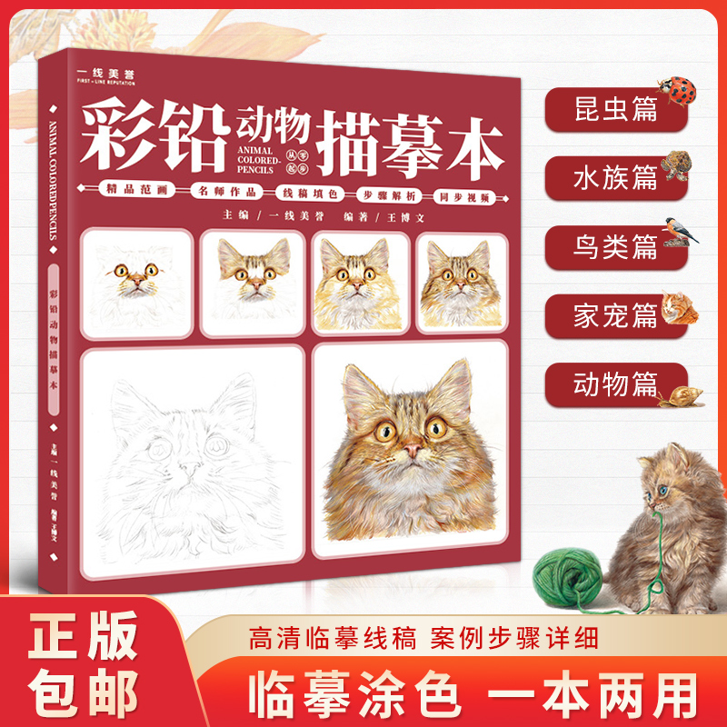 一线美誉动物描摹步骤解析