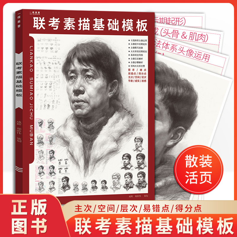 联考素描基础模板一线美誉头像