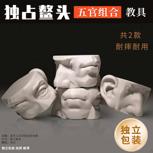 五官模型 石膏像 素描美术教具 五官结合体体块结构模型