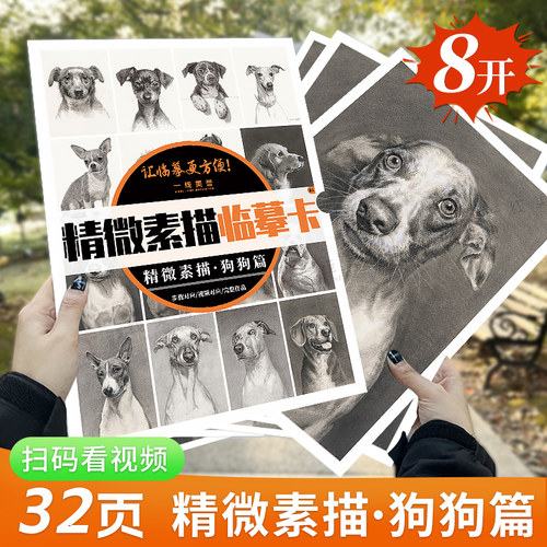 一线美誉8开精微素描狗狗篇32页